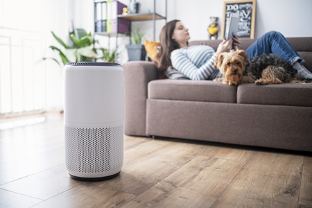 A woman lies next to an air purifier.