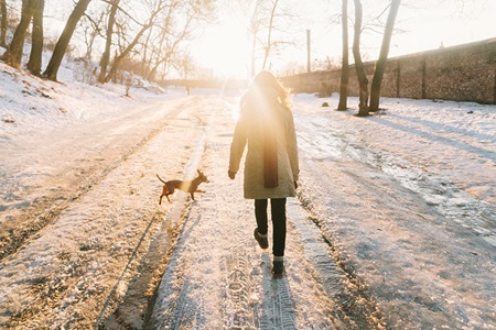 A woman walking in the park with a dog in winter.